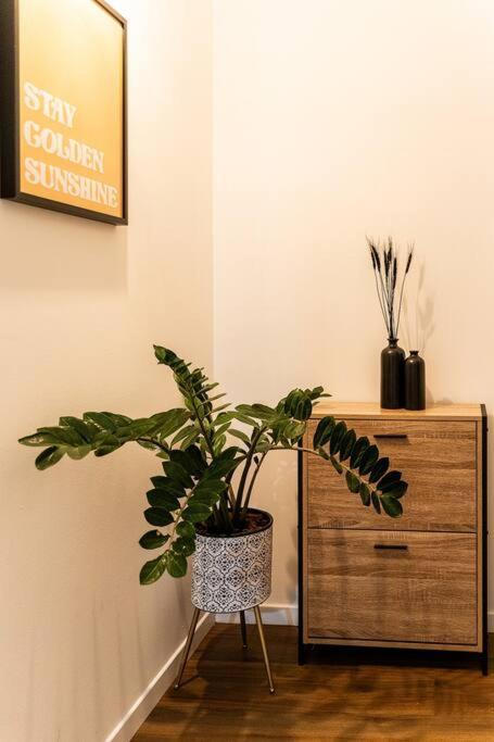 Apartmán Le Cocon Retro-Chic A La Capitale Saint-Denis Exteriér fotografie